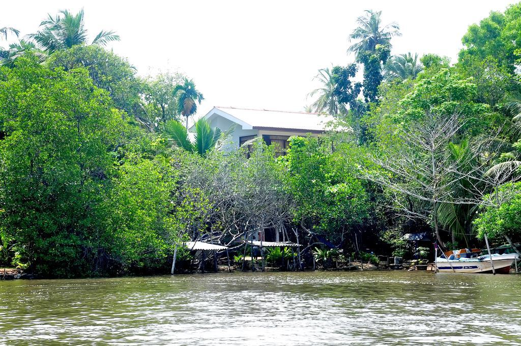 Little Swan Guest house Bentota Extérieur photo