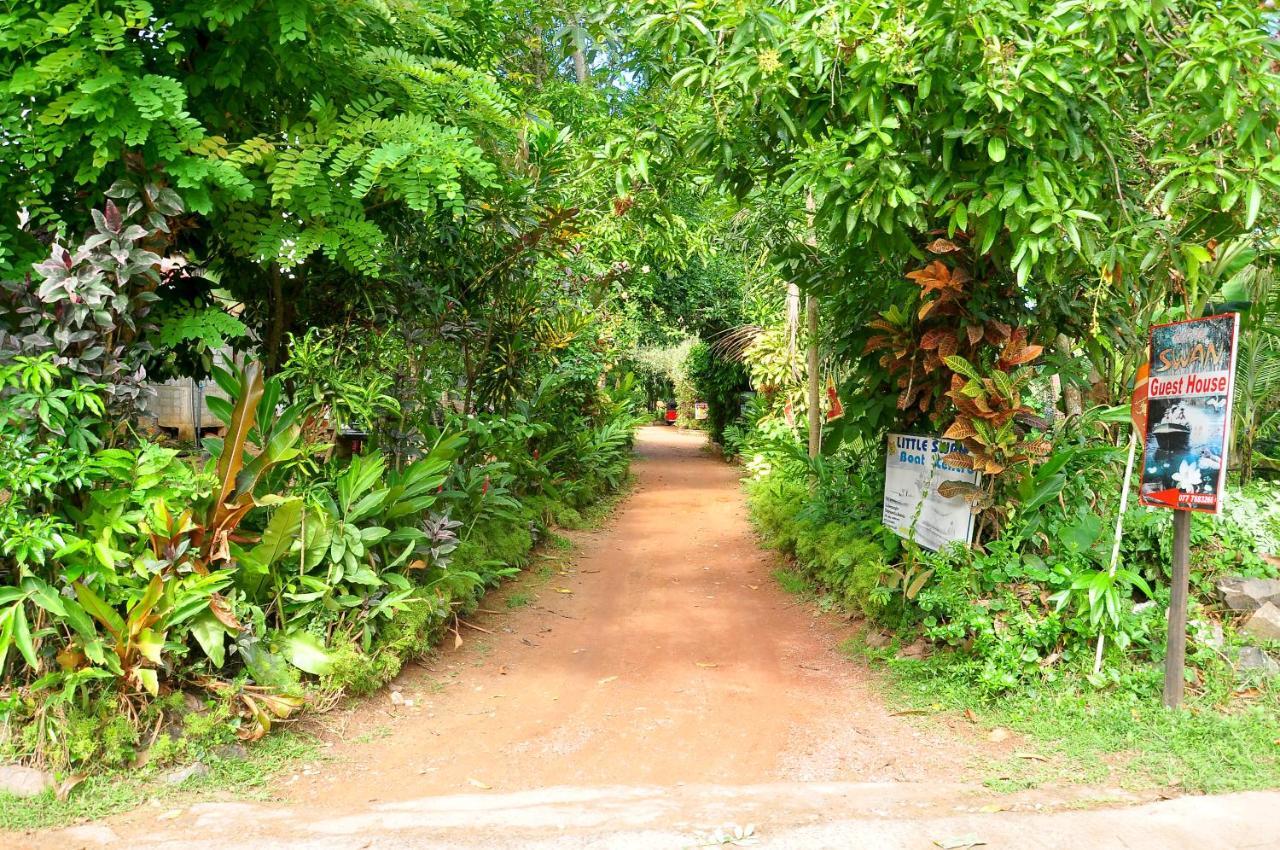 Little Swan Guest house Bentota Extérieur photo